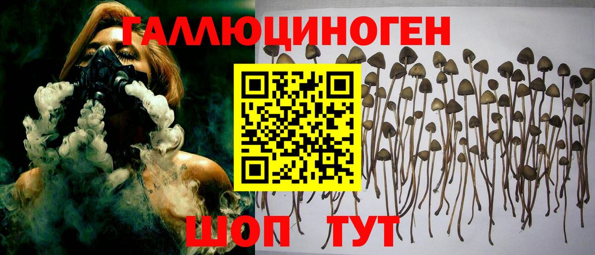 Кинешма  Галлюциногенные грибы прущие грибы  Псилоцибиновые грибы мухоморы  Вход с VPN 